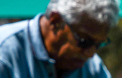 People working at a tree farm with seedlings